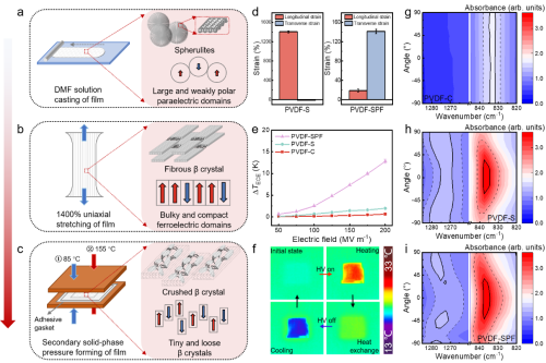 Prof. Xiong Chuanxi’s team published latest research in Nature Communications